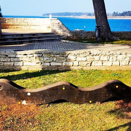 Mirta Deluxe Superior 5 Star Apartment, Your Piece Of Heaven By The Sea & Park, With Sea & Park View Novigrad  Екстер'єр фото