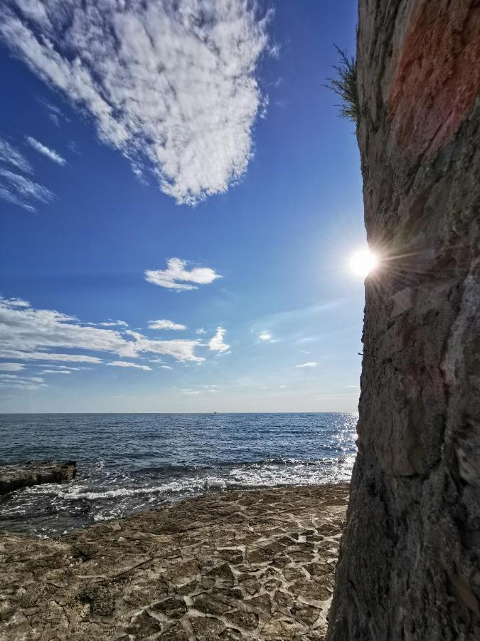 Mirta Deluxe Superior 5 Star Apartment, Your Piece Of Heaven By The Sea & Park, With Sea & Park View Novigrad  Екстер'єр фото