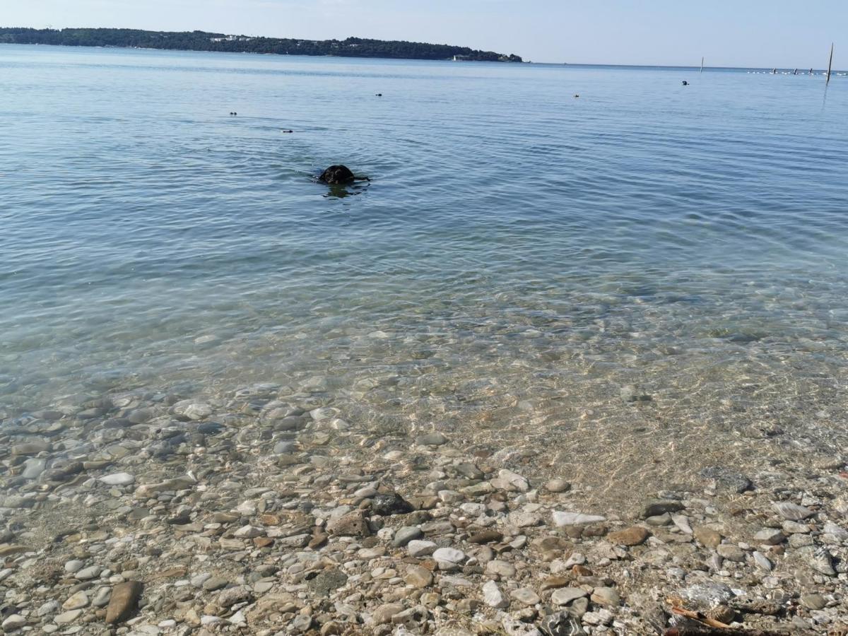 Mirta Deluxe Superior 5 Star Apartment, Your Piece Of Heaven By The Sea & Park, With Sea & Park View Novigrad  Екстер'єр фото