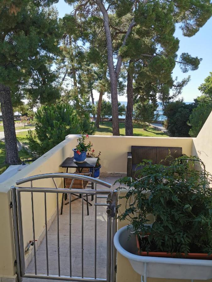 Mirta Deluxe Superior 5 Star Apartment, Your Piece Of Heaven By The Sea & Park, With Sea & Park View Novigrad  Екстер'єр фото